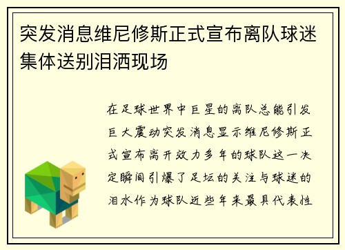 突发消息维尼修斯正式宣布离队球迷集体送别泪洒现场
